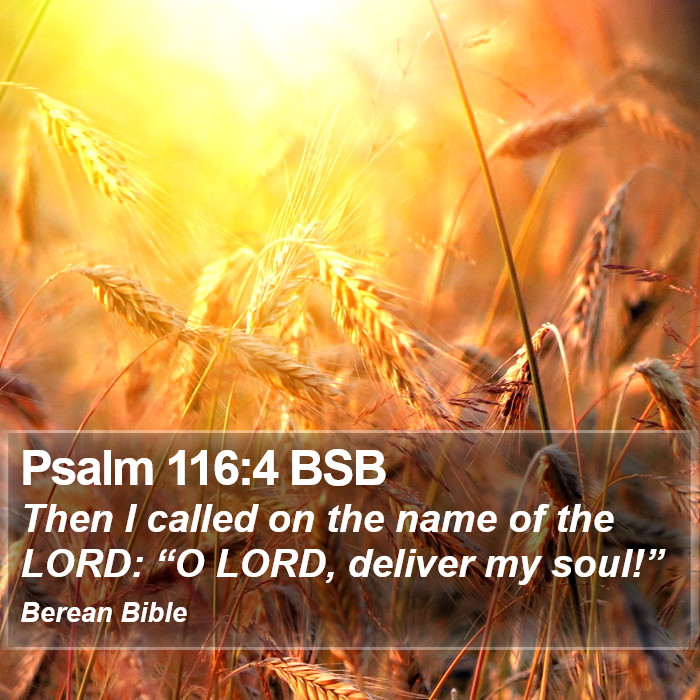 Psalms 116:4 BSB Bible Study