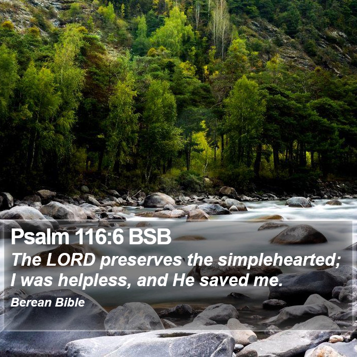 Psalms 116:6 BSB Bible Study