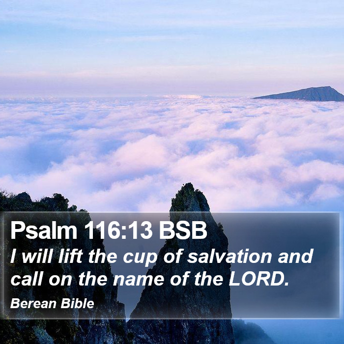 Psalms 116:13 BSB Bible Study