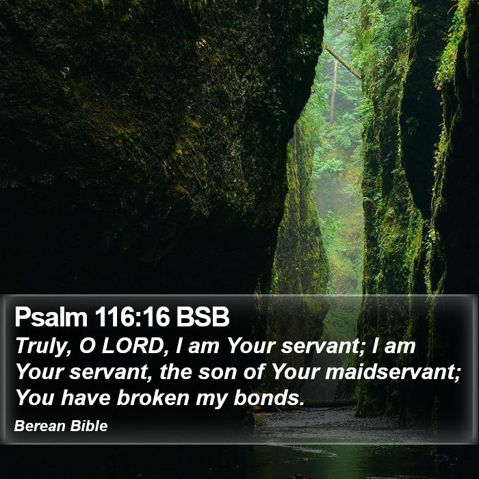 Psalms 116:16 BSB Bible Study