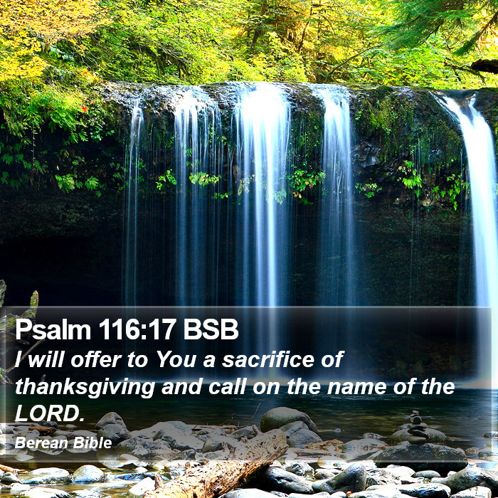 Psalms 116:17 BSB Bible Study