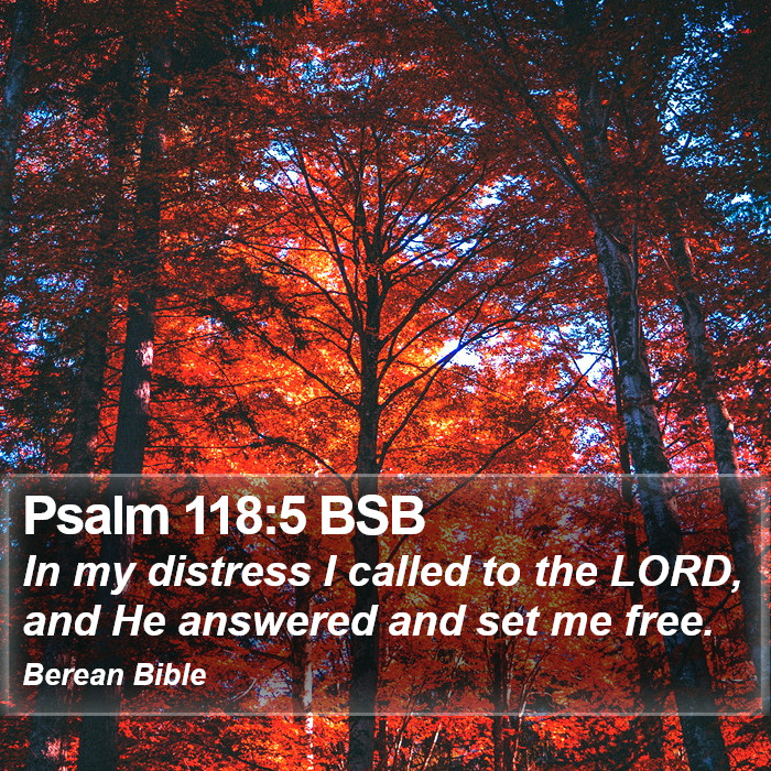 Psalms 118:5 BSB Bible Study