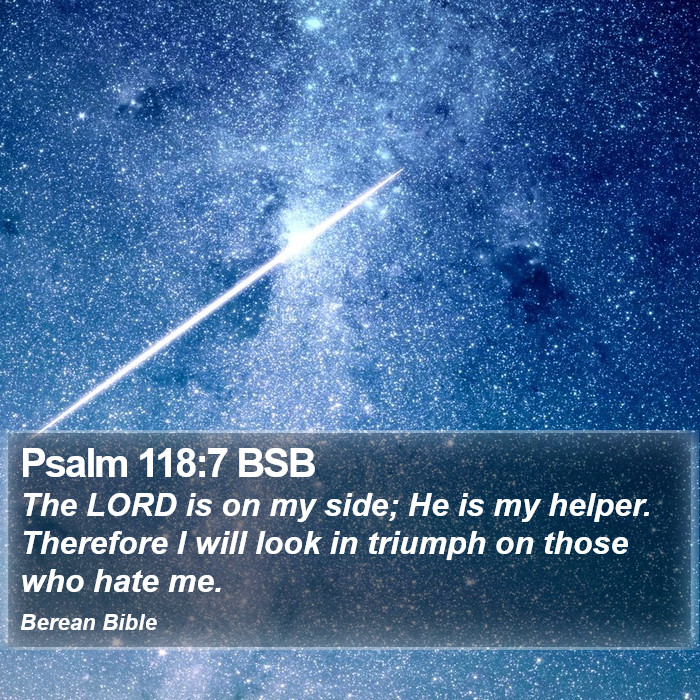 Psalms 118:7 BSB Bible Study