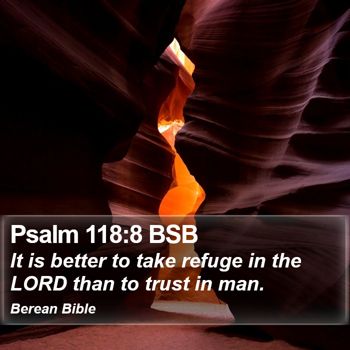 Psalms 118:8 BSB Bible Study