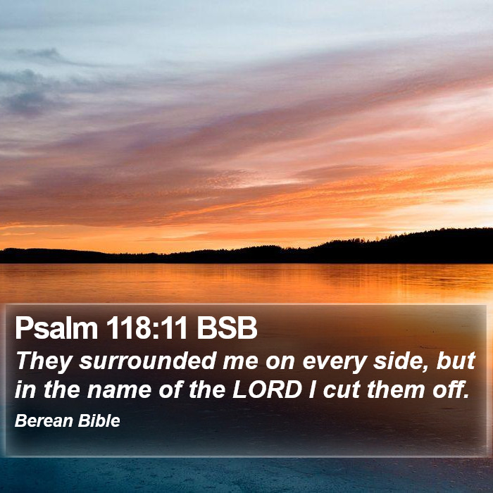 Psalms 118:11 BSB Bible Study