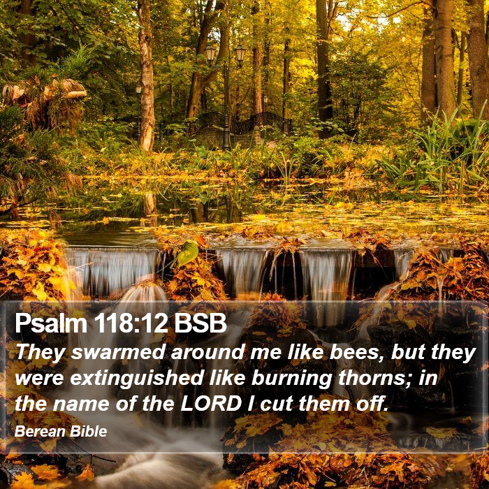 Psalms 118:12 BSB Bible Study