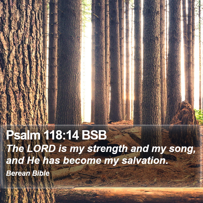 Psalms 118:14 BSB Bible Study