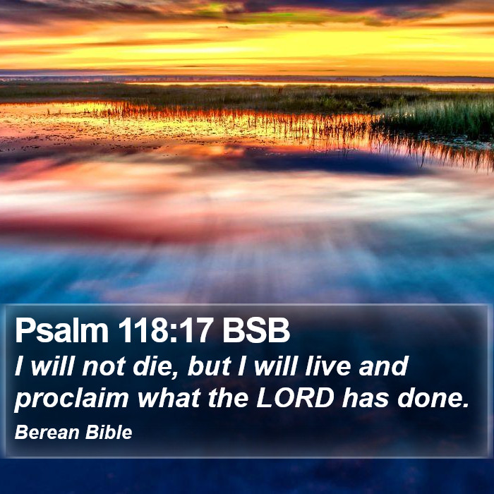 Psalms 118:17 BSB Bible Study