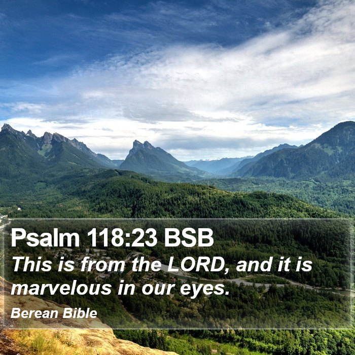 Psalms 118:23 BSB Bible Study