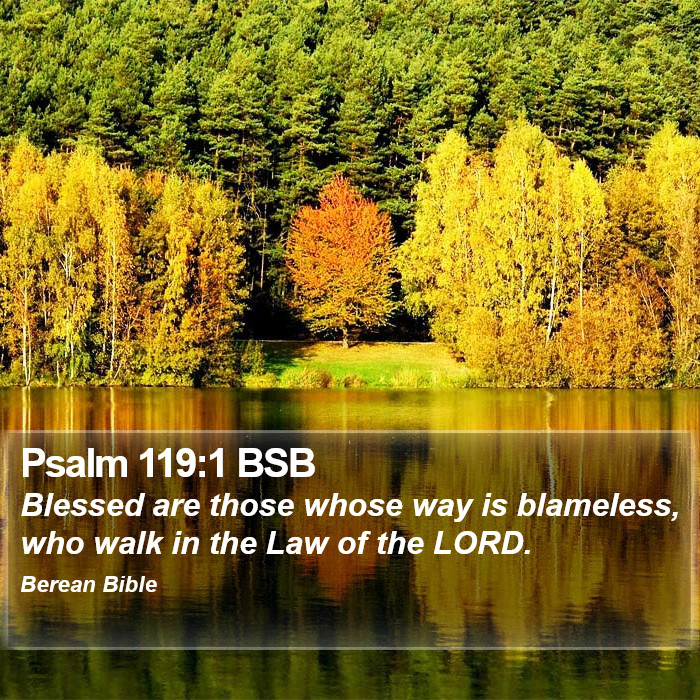 Psalms 119:1 BSB Bible Study