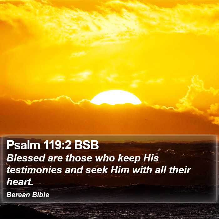 Psalms 119:2 BSB Bible Study