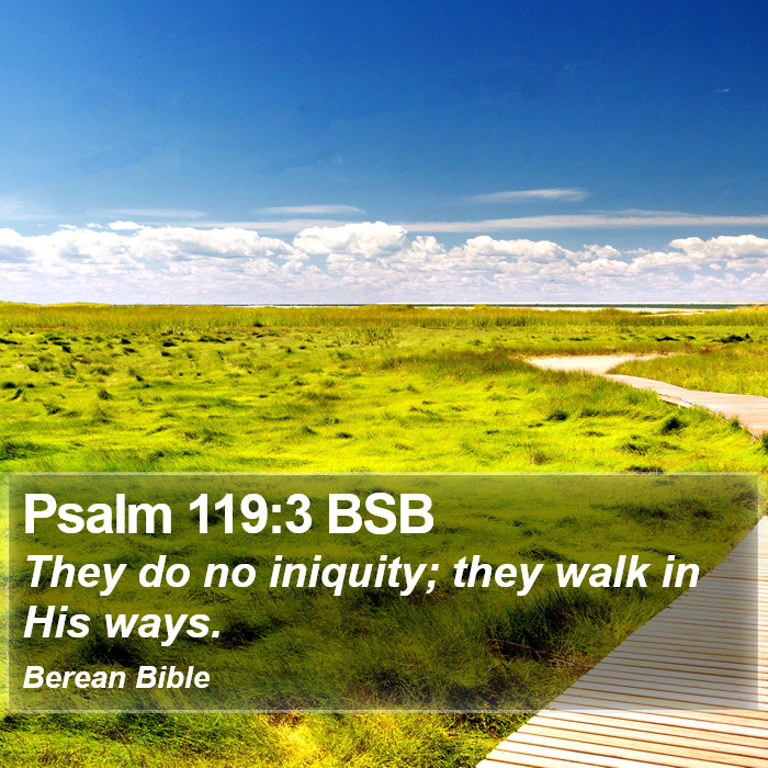 Psalms 119:3 BSB Bible Study