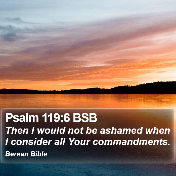 Psalms 119:6 BSB Bible Study