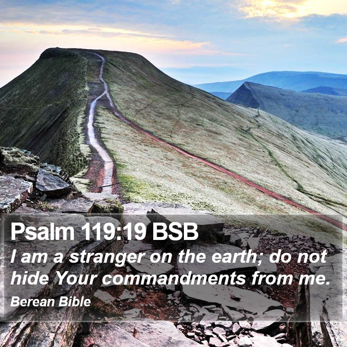 Psalms 119:19 BSB Bible Study