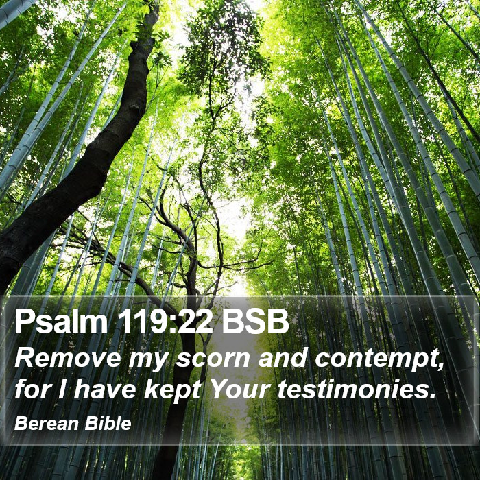 Psalms 119:22 BSB Bible Study