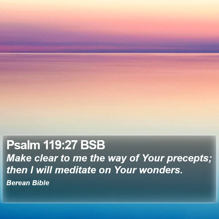 Psalms 119:27 BSB Bible Study