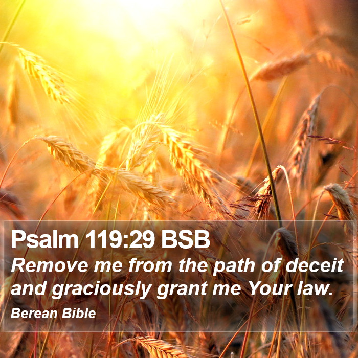 Psalms 119:29 BSB Bible Study