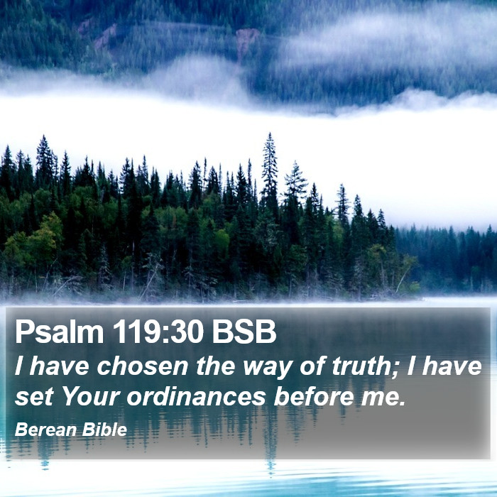 Psalms 119:30 BSB Bible Study