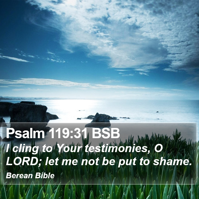 Psalms 119:31 BSB Bible Study