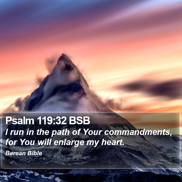 Psalms 119:32 BSB Bible Study