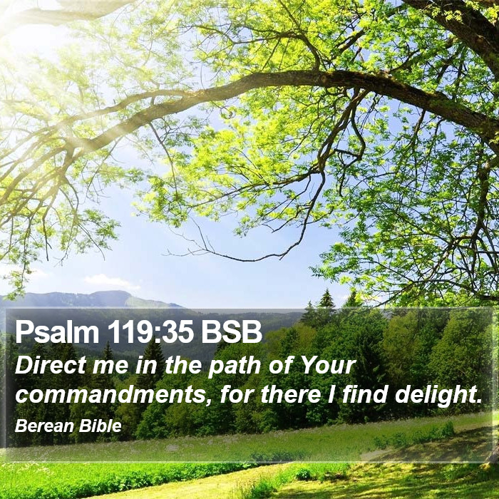 Psalms 119:35 BSB Bible Study