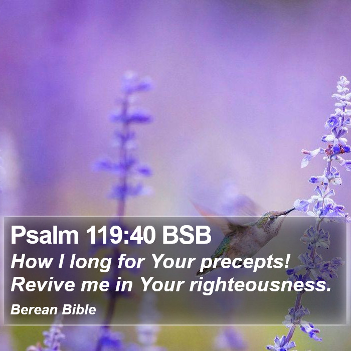 Psalms 119:40 BSB Bible Study