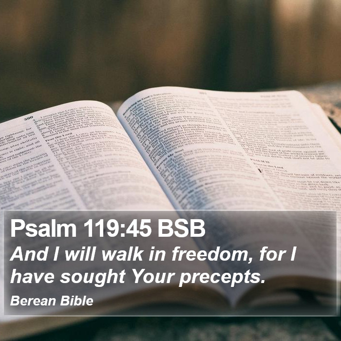 Psalms 119:45 BSB Bible Study