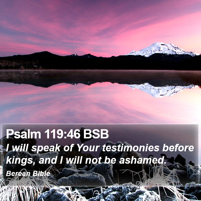 Psalms 119:46 BSB Bible Study