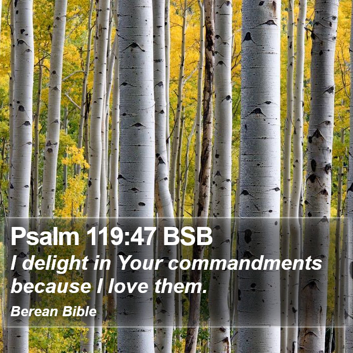 Psalms 119:47 BSB Bible Study