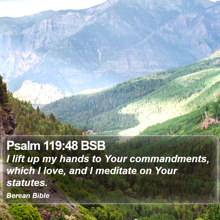 Psalms 119:48 BSB Bible Study