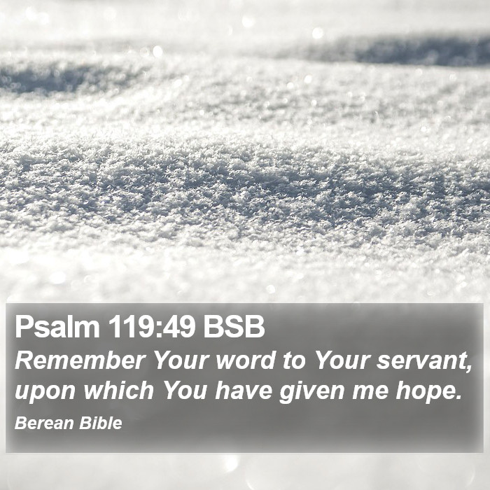 Psalms 119:49 BSB Bible Study