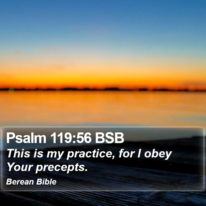 Psalms 119:56 BSB Bible Study