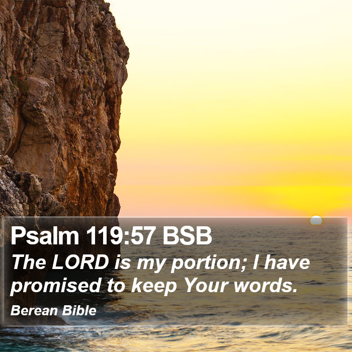 Psalms 119:57 BSB Bible Study