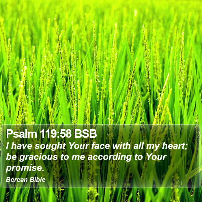 Psalms 119:58 BSB Bible Study