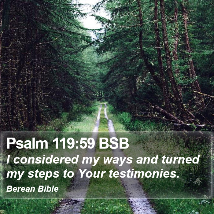 Psalms 119:59 BSB Bible Study