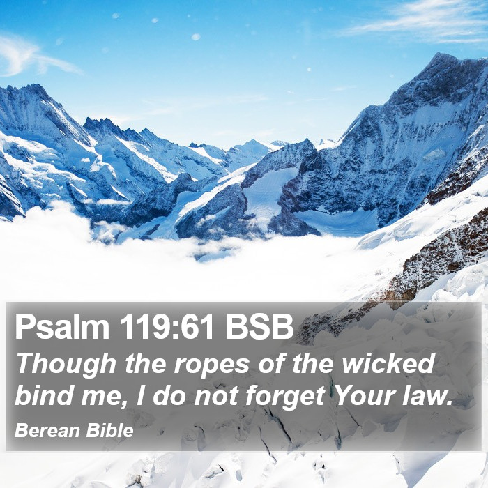 Psalms 119:61 BSB Bible Study