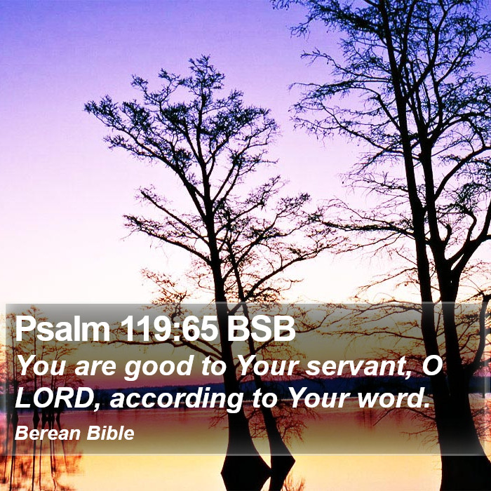 Psalms 119:65 BSB Bible Study