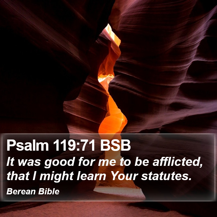 Psalms 119:71 BSB Bible Study