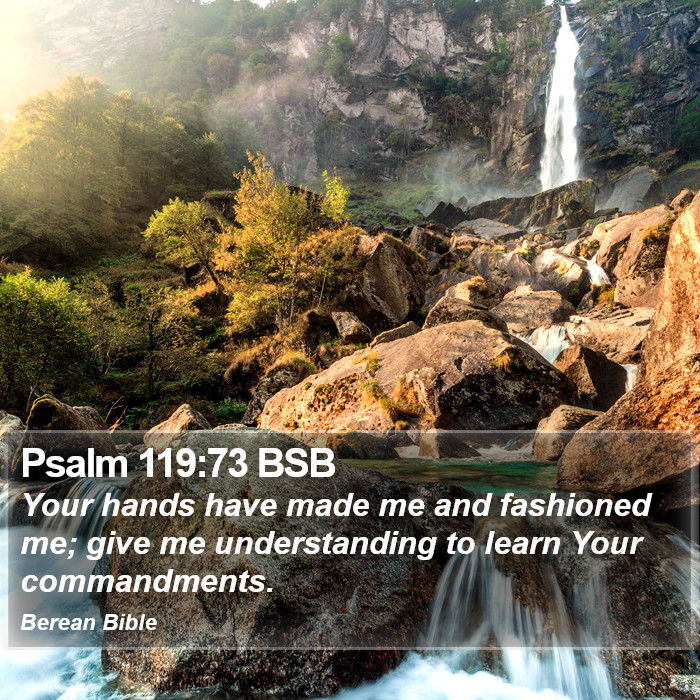 Psalms 119:73 BSB Bible Study