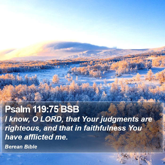 Psalms 119:75 BSB Bible Study