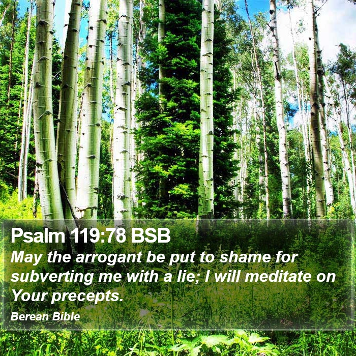 Psalms 119:78 BSB Bible Study