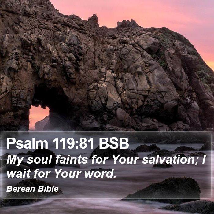 Psalms 119:81 BSB Bible Study