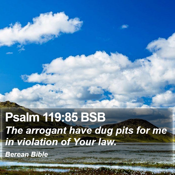 Psalms 119:85 BSB Bible Study