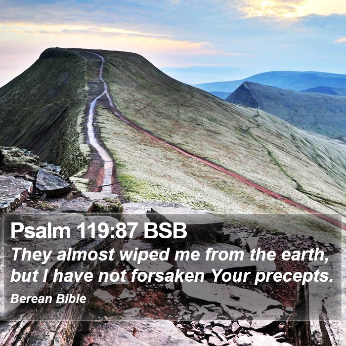 Psalms 119:87 BSB Bible Study