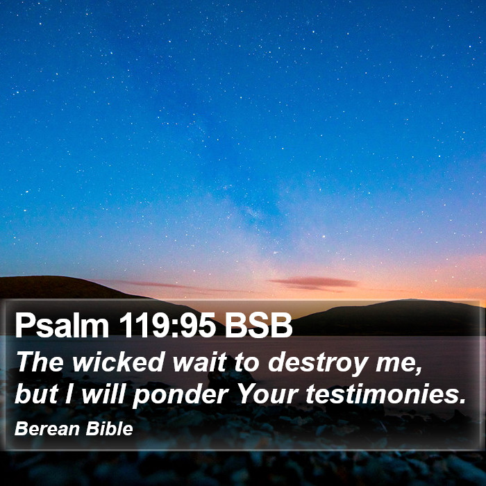 Psalms 119:95 BSB Bible Study