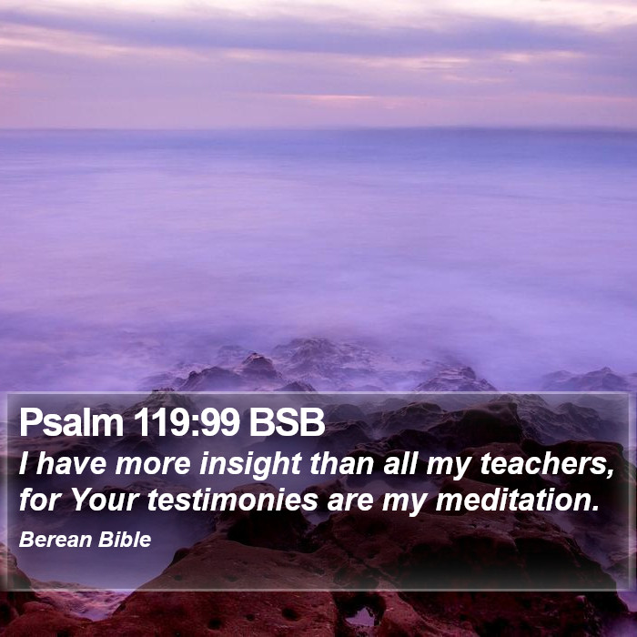 Psalms 119:99 BSB Bible Study