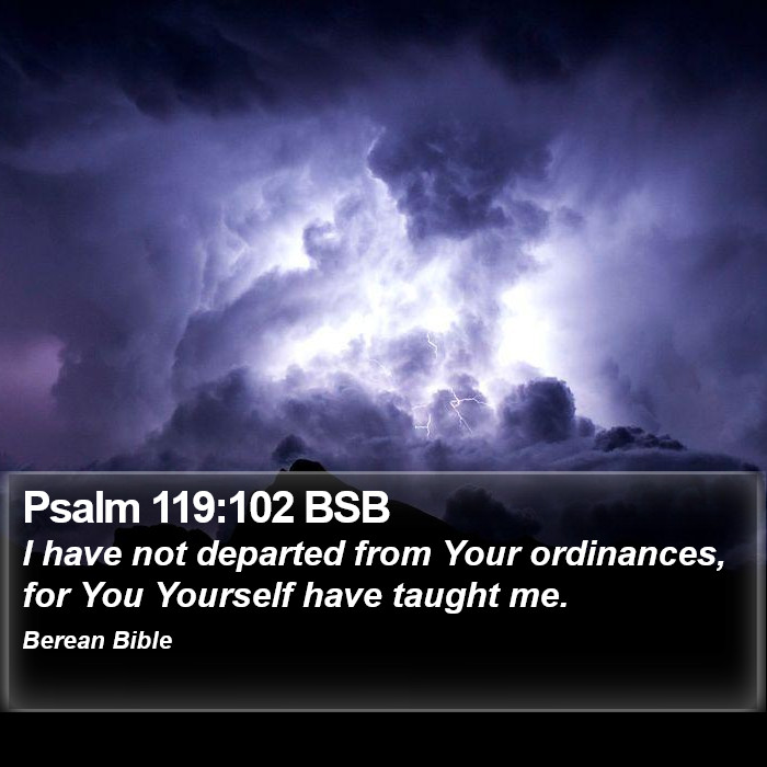 Psalms 119:102 BSB Bible Study