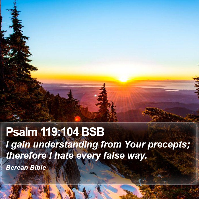 Psalms 119:104 BSB Bible Study