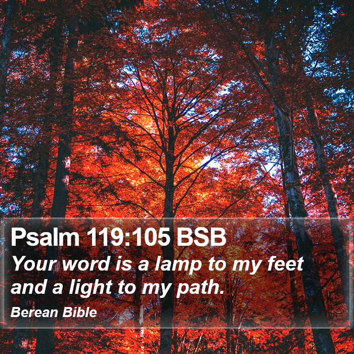 Psalms 119:105 BSB Bible Study