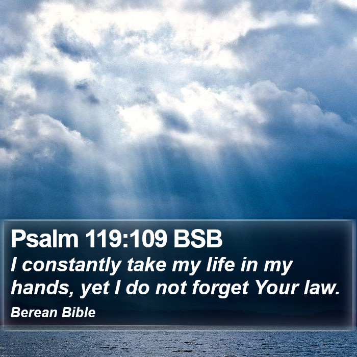 Psalms 119:109 BSB Bible Study